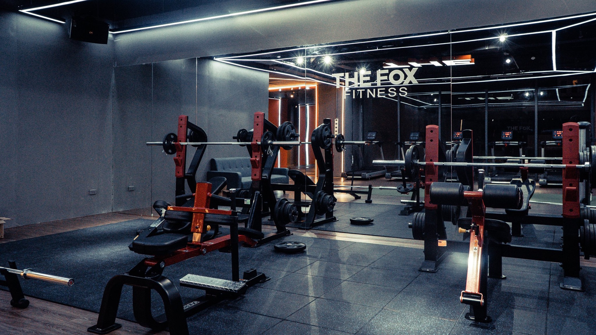 setup lắp đặt phòng gym the fox fitness tại hà đông