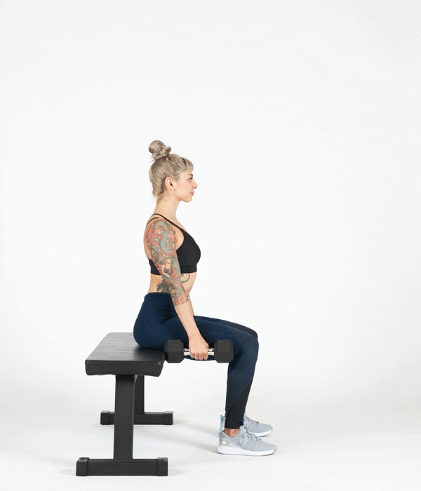 Bài tập squat với tạ tay Seated dumbbell jump squat